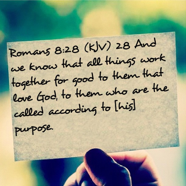 8453004301_8d343f5921_z