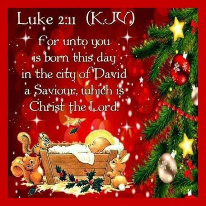 12391837_950999131621729_3440130916039115454_n